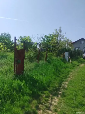 Teren Paleu zona Oncea in fosta livada - imagine 2