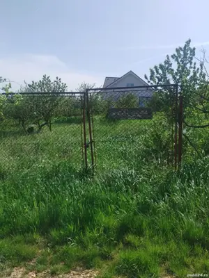 Teren Paleu zona Oncea in fosta livada - imagine 3