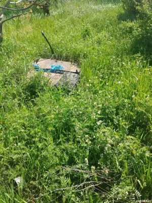 Teren Paleu zona Oncea in fosta livada - imagine 4