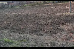 Teren intravilan Loc de Casa 3225 mp, în Șiria, județul Arad - imagine 9