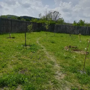 Vând teren 600 mp construibil îngrădit utilitati Valea Ursului, Bascov,  Pitești, Arges - imagine 4