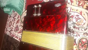 vinzare acordeon