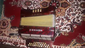 vinzare acordeon - imagine 2
