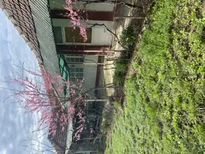 Casa de vanzare in Cordau - imagine 2 Casa de vanzare in Cordau - imagine 2