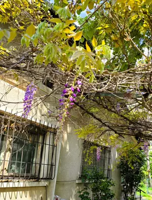 Ploieşti AFI, ideal sediu firmă, birou avocat notar, salon, sau locuinţă. - imagine 10