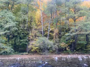 Oportunitate unică ! Proprietate în parc național  pe malul Cernei !  - imagine 4