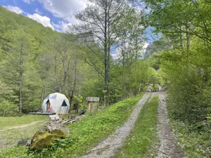 Oportunitate unică ! Proprietate în parc național  pe malul Cernei !  - imagine 8