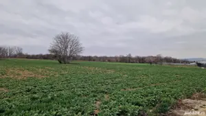 Teren intravilan Focșani - imagine 4