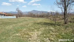 Teren intravilan Buntesti Bihor - imagine 8