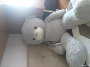 vand ursulet 140 lei negociabil  - imagine 4