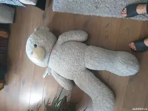 vand ursulet 140 lei negociabil  - imagine 3