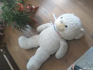 vand ursulet 140 lei negociabil  - imagine 2