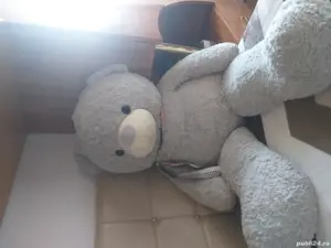 vand ursulet 140 lei negociabil  - imagine 5