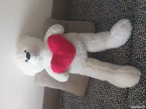 vand ursulet pret 90 lei negociabil 