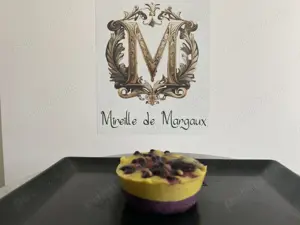 Mini Prăjitură Raw Vegană Mango Afine   Soleil Passion