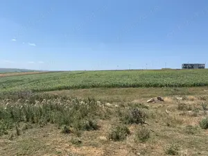 Teren de vanzare, Scheia-Suceava, 5331 mp, 2000 euro arul - imagine 4