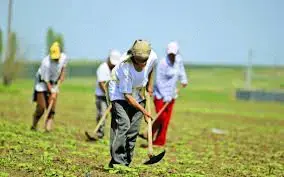 Forta de munca ASIA zero costuri - imagine 2