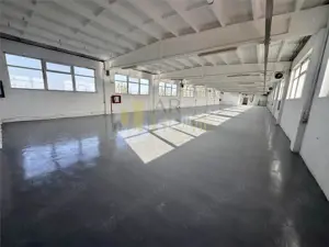 Hala industriala P+1E, 1646 mp, Ploiesti, Mihai Bravu, acces tir. - imagine 11