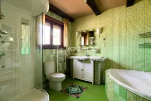 Casă de vis într-o oază de liniște – Bodrogul Nou, Arad - imagine 12