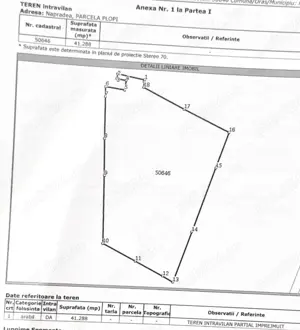Vând teren intravilan în județul Sălaj, comuna Napradea  - imagine 4