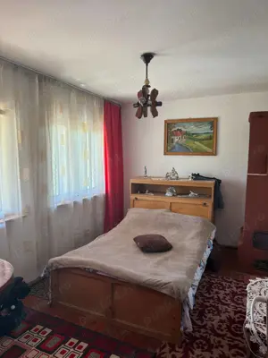 Proprietar,vind casă cu teren,acte la zi,situată în sat Paltinisu comuna Căzănești,judet Mehedinți  - imagine 2