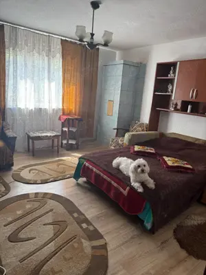 Proprietar,vind casă cu teren,acte la zi,situată în sat Paltinisu comuna Căzănești,judet Mehedinți  - imagine 4