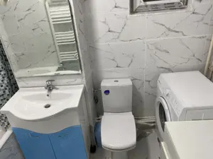 Proprietar închiriez ap 2 cam, centrală proprie de ap.,renovat 2025, Parcul Circului  - imagine 7