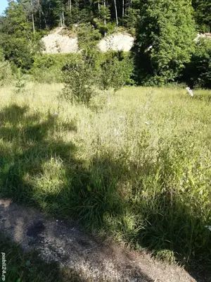 Teren de vânzare intravilant  - imagine 2