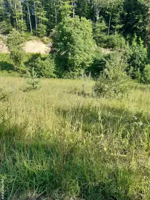 Teren de vânzare intravilant  - imagine 5