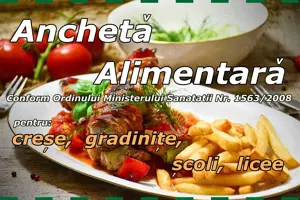 Ancheta Alimentara - pentru crese, gradinite, scoli, licee