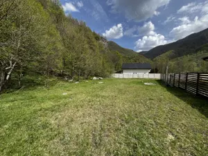 Teren Clopotiva - Rau de Mori - Retezat