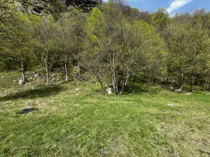 Teren Clopotiva - Rau de Mori - Retezat - imagine 4