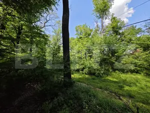 Padure in Barnova 1800 mp + 600 mp teren  pentru casa - imagine 3