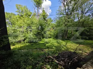 Casuta de vacanta in padure , zona Barnova  - imagine 7