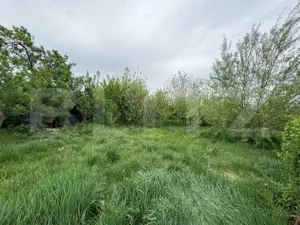 Casa individuala cu 3 camere,110 mp utili, 1000 mp teren,Blaj - imagine 7