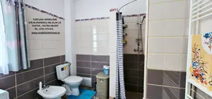 Proprietate Piatra Neamt - vila cocheta cu garaj, beci si teren - imagine 4