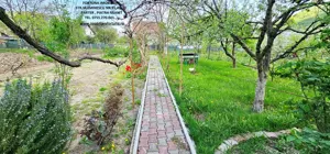 Proprietate Piatra Neamt - vila cocheta cu garaj, beci si teren - imagine 16