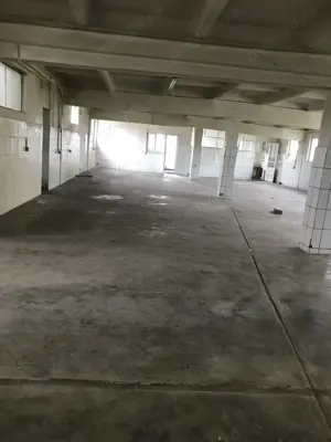 Hala de productie de inchiriat - imagine 4