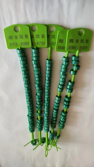 inele porumbei de asociatie UCP 2025 - imagine 3