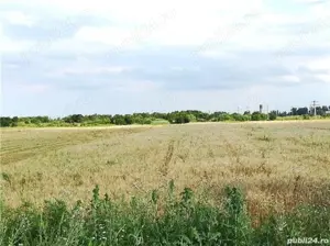 Vand teren intravilan Crevedia, 5000 mp, deschidere 16.70m - posibilitate parcelare - imagine 2