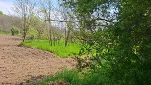 casa la tara in olanu, cioboti, valcea - imagine 7