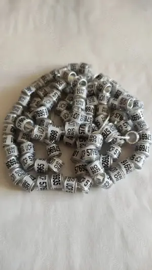 inele porumbei de asociatie UCP 2025