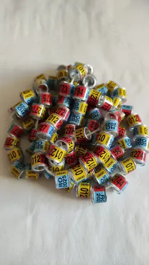 inele porumbei de asociatie UCP 2025 - imagine 4