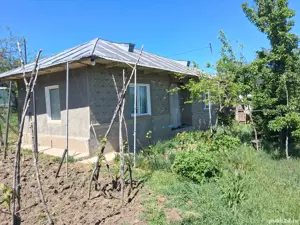 Vând schimb casă tămăoani  - imagine 4