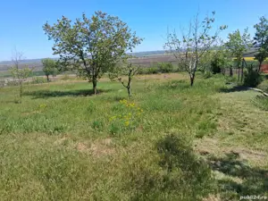 Vând schimb casă tămăoani  - imagine 5