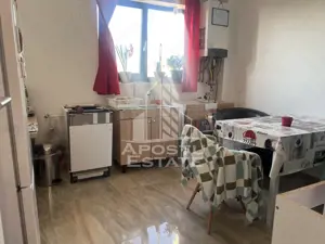 Duplex cu 3 camere, loc de parcare in curte, in Sanandrei - imagine 7