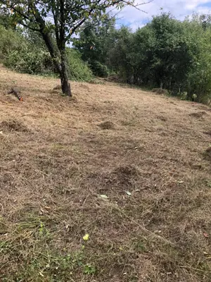 Teren Intravilan Geoagiu-Bai - imagine 7