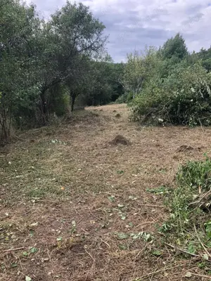 Teren Intravilan Geoagiu-Bai - imagine 5