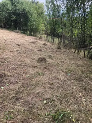 Teren Intravilan Geoagiu-Bai - imagine 4