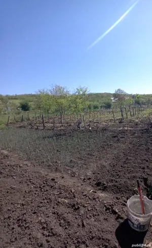 Vând teren intravilan 